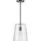 Progress Lighting Clarion Collection Brushed Nickel One-Light Small Pendant P500241-009 - alternate 2